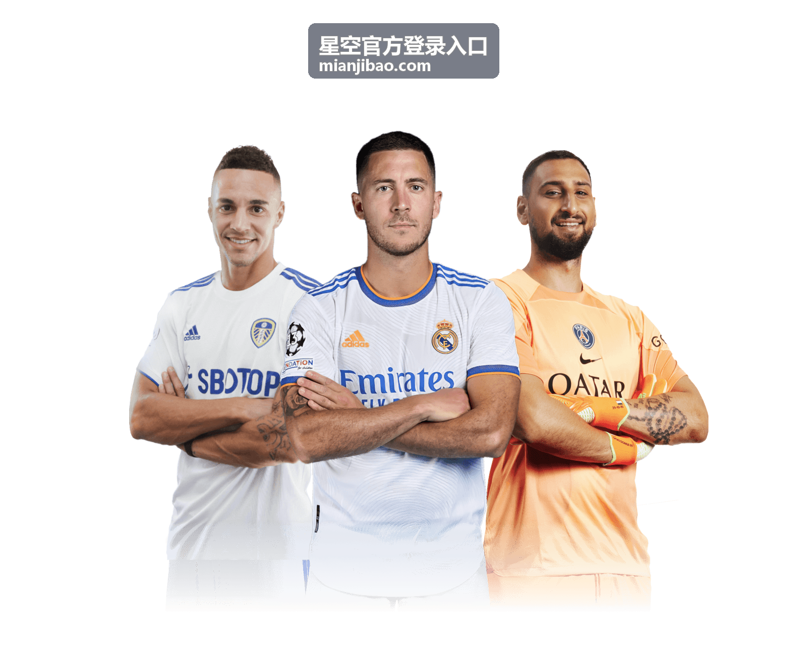 星空官方登录入口的登录记录与异常提醒面板